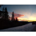 Zdjęcia użytkowników Motorola Moto G7 Dual SIM Zdjęcia użytkowników Motorola Moto G7 Dual SIM