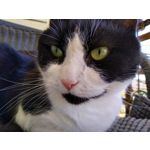 Zdjęcia użytkowników Motorola Moto G7 Power