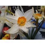 Zdjęcia użytkowników Motorola Moto G7 Power