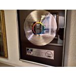 Zdjęcia użytkowników Motorola Moto G8 Plus Dual SIM