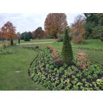 Zdjęcia użytkowników Motorola Moto G8 Plus Dual SIM