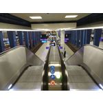 Zdjęcia użytkowników Motorola Moto G8 Plus Dual SIM