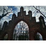 Zdjęcia użytkowników Motorola Moto G8 Power