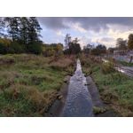 Zdjęcia użytkowników Motorola Moto G84 Dual SIM