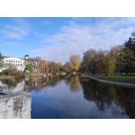 Zdjęcia użytkowników Motorola Moto G84 Dual SIM