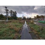 Zdjęcia użytkowników Motorola Moto G84 Dual SIM