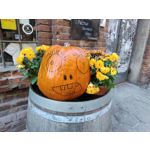 Zdjęcia użytkowników Motorola Moto G84 Dual SIM