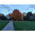 Zdjęcia użytkowników Motorola Moto G84 Dual SIM