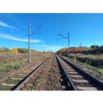 Zdjęcia użytkowników Motorola Moto G84