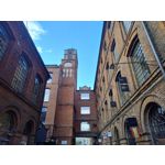 Zdjęcia użytkowników Motorola Moto G84