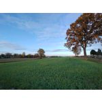 Zdjęcia użytkowników Motorola Moto G84