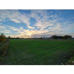 Zdjęcia użytkowników Motorola Moto G84