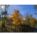 Zdjęcia użytkowników Motorola Moto G84