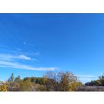 Zdjęcia użytkowników Motorola Moto G84