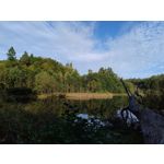 Zdjęcia użytkowników Motorola Moto G84