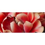 Zdjęcia użytkowników Motorola Moto G9 Plus Zdjęcia użytkowników Motorola Moto G9 Plus