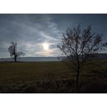 Zdjęcia użytkowników Motorola Moto G9 Plus Zdjęcia użytkowników Motorola Moto G9 Plus