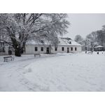 Zdjęcia użytkowników Motorola Moto G9 Plus Zdjęcia użytkowników Motorola Moto G9 Plus