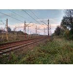 Zdjęcia użytkowników Motorola Moto X 2nd Gen