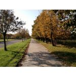 Zdjęcia użytkowników Motorola Moto X 2nd Gen