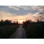 Zdjęcia użytkowników Motorola Moto X 2nd Gen