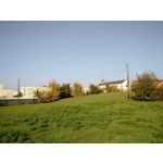 Zdjęcia użytkowników Motorola Moto X 2nd Gen