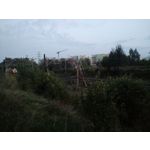 Zdjęcia użytkowników Motorola Moto X 2nd Gen