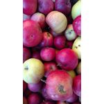 Zdjęcia użytkowników Motorola Moto X Play Zdjęcia użytkowników Motorola Moto X Play