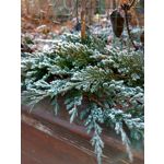 Zdjęcia użytkowników Motorola Moto X Play Zdjęcia użytkowników Motorola Moto X Play