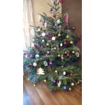 Zdjęcia użytkowników Motorola Moto X Play Zdjęcia użytkowników Motorola Moto X Play