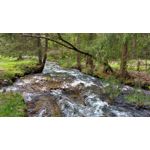 Zdjęcia użytkowników Motorola Moto X Play Zdjęcia użytkowników Motorola Moto X Play