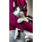 Zdjęcia użytkowników Motorola Moto X Play Zdjęcia użytkowników Motorola Moto X Play