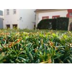 Zdjęcia użytkowników Motorola Moto X Play Zdjęcia użytkowników Motorola Moto X Play