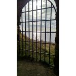 Zdjęcia użytkowników Motorola Moto X