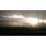 Zdjęcia użytkowników Motorola Moto X