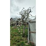 ZDJĘCIA Z TEGO TELEFONU