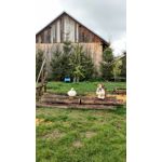 ZDJĘCIA Z TEGO TELEFONU