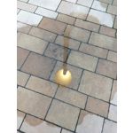 Zdjęcia użytkowników Motorola Moto Z2 Play Zdjęcia użytkowników Motorola Moto Z2 Play