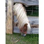 Zdjęcia użytkowników Motorola Moto Z2 Play Zdjęcia użytkowników Motorola Moto Z2 Play