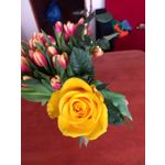 Zdjęcia użytkowników Motorola Moto Z2 Play Zdjęcia użytkowników Motorola Moto Z2 Play