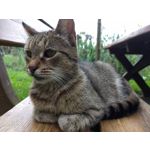 Zdjęcia użytkowników Motorola Moto Z2 Play Zdjęcia użytkowników Motorola Moto Z2 Play