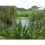 Zdjęcia użytkowników Motorola Moto Z2 Play Zdjęcia użytkowników Motorola Moto Z2 Play