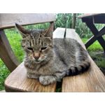 Zdjęcia użytkowników Motorola Moto Z2 Play Zdjęcia użytkowników Motorola Moto Z2 Play