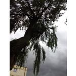 Zdjęcia użytkowników Motorola Moto Z2 Play Zdjęcia użytkowników Motorola Moto Z2 Play