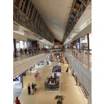 Zdjęcia użytkowników Motorola One Action