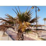 Zdjęcia użytkowników Motorola One Vision Dual SIM