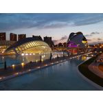 Zdjęcia użytkowników Motorola One Vision Dual SIM