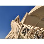 Zdjęcia użytkowników Motorola One Vision Dual SIM