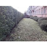 Zdjęcia użytkowników Motorola One Vision Dual SIM