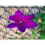 Zdjęcia użytkowników Motorola One Vision Dual SIM